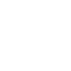 Dream_Landscapes_Inc_Logo_Final_Sq-white dream landscapes olympia wa